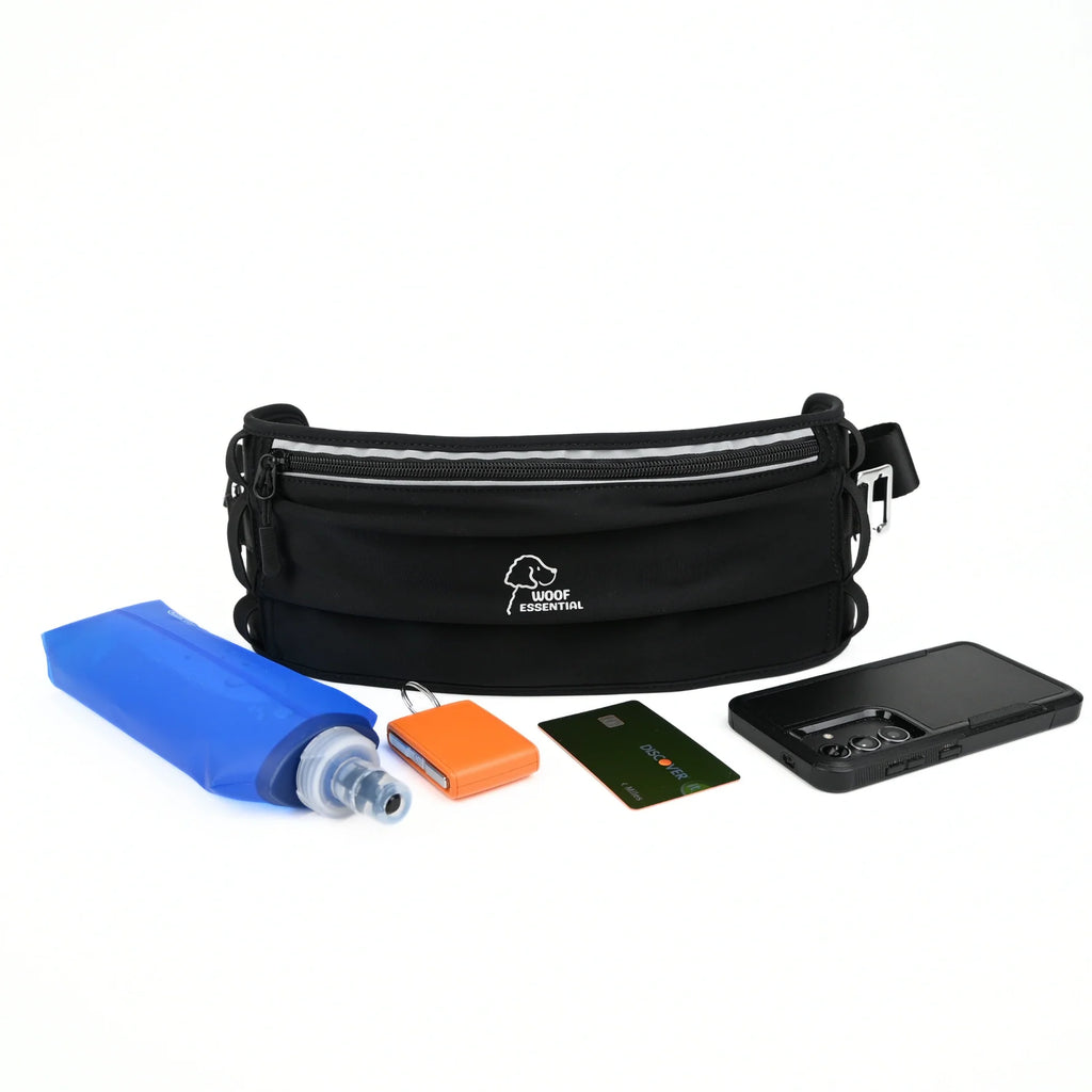 Hands-Free Dog Running Belt | Pace’n Paws Runner Belt yellow / X/XL